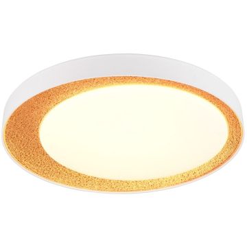Trio ALETA R64611179 Stropní lampa 1x24w/led 2700-6500k 2500lm ip20