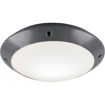 Trio CAMARO R60501042 Stropní lampa 1x12w/e27 ip54