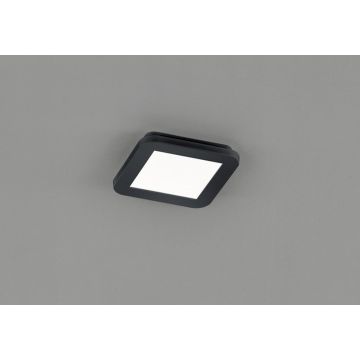 Trio CAMILLUS R62931032 Stropní lampa 1x10w/led 3000k 850lm ip44