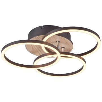 Trio CIRCLE R62823135 Stropní lampa 1x27w/led 2700-6000K 3200lm ip20