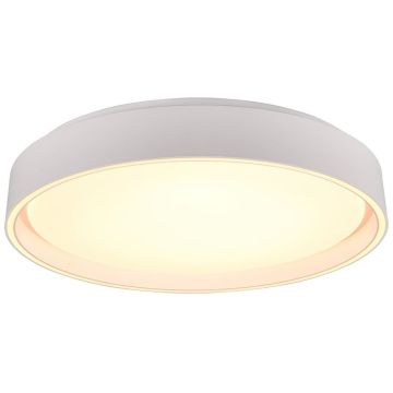 Trio FELIS R64391031 Stropní lampa 1x24w/led 2700-6500K 2500lm ip20