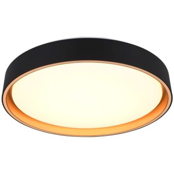 Trio FELIS R64391080 Stropní lampa 1x24w/led 2700-6500k 2500lm ip20