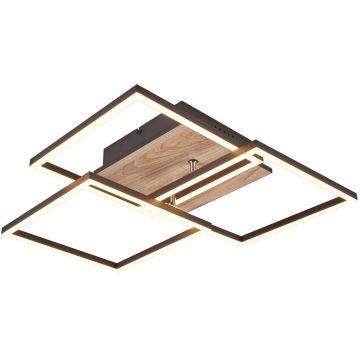 Trio MOBILE R62883135 Stropní lampa 1x27w/led 2700-6000K 3200lm ip20