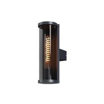 Maytoni Conf O451WL-01GF Nástěnná lampa 1x15W/E27 IP54
