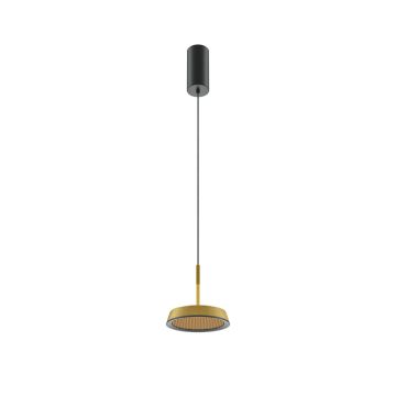 Maytoni El MOD041PL-L15G3K Závěsná lampa 1x12W/LED 3000K 700lm IP20