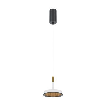 Maytoni El MOD041PL-L15WG3K Závěsná lampa 1x12W/LED 3000K 800lm IP20