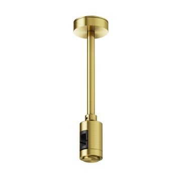 Maytoni Flarity TRA156C-SL1-BS Závěs