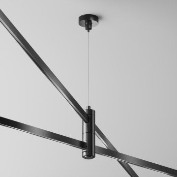 Maytoni Flarity TRA157SW-D1-B Závěs IP20