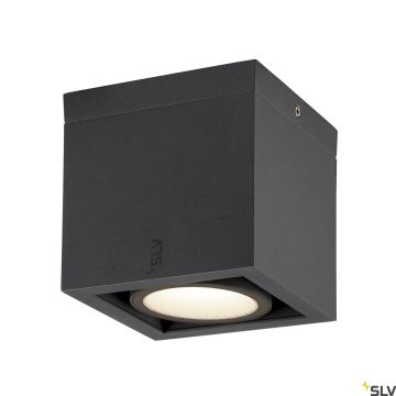SLV ESKINA 1006316 Nástěnné osvětlení 1x15W/LED 3000K|4000K 1100LM|1200LM IP65