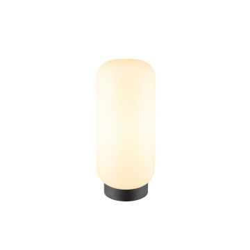 SLV PANTILO SLIM 1010348 Stolní lampa 1x15W/E27