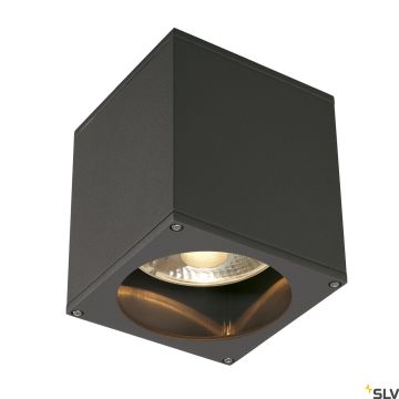 SLV THEO 229555 Stropní lampa 1x75W/GU10/ES111 IP44