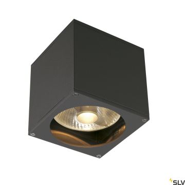 SLV THEO 229565 Nástěnná lampa 1x75W/GU10/ES111 IP44