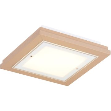 Argon TABOR 1871 Stropní lampa 4x15W/E27 ip20