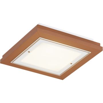 Argon TABOR 7268 Stropní lampa 2x15W/E27 ip20