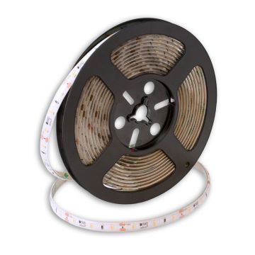 SMD LED PROline TAS4182SLL LED pás 60x6W/m/LED 3000K 650 lm/m IP66