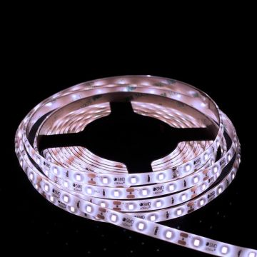 SMD LED PROline TAS4250SLL LED pás 60x6W/m/LED 6000K 620 lm/m IP66