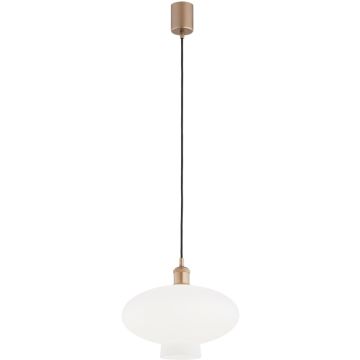 Argon TRESCO 8980 Závěsná lampa 1x15W/E27 ip20