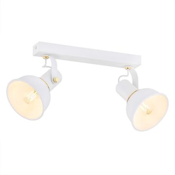 Argon TWIST 7036 Stropní lampa 2x7W/E14 IP20