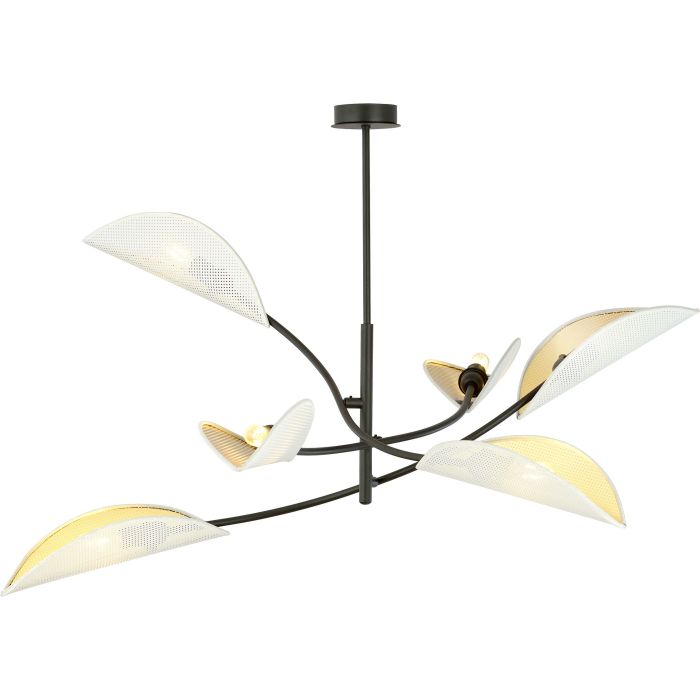 Emibig-LOTUS-1107/6-EMI1107/6