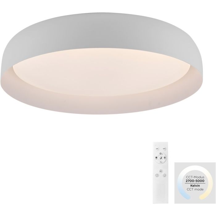 Paul Neuhaus-OSKO-14216-16-PLN14216-16