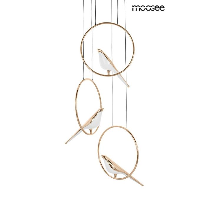 King Home-Bird Disc-MSE010100294-KNGMSE010100294